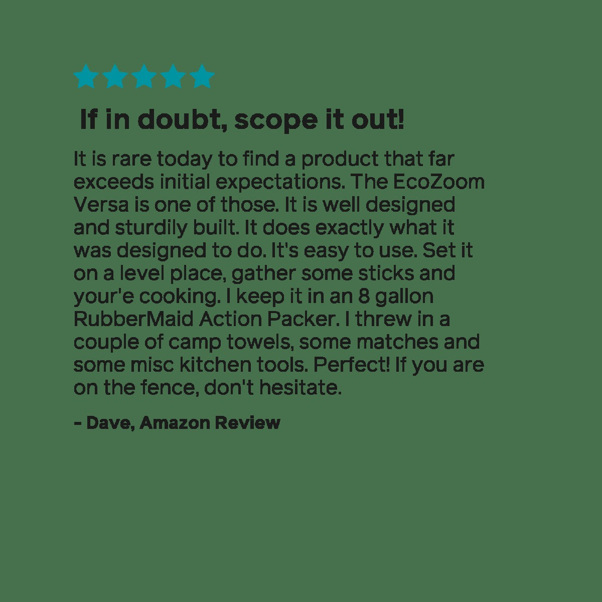 EcoZoom Versa