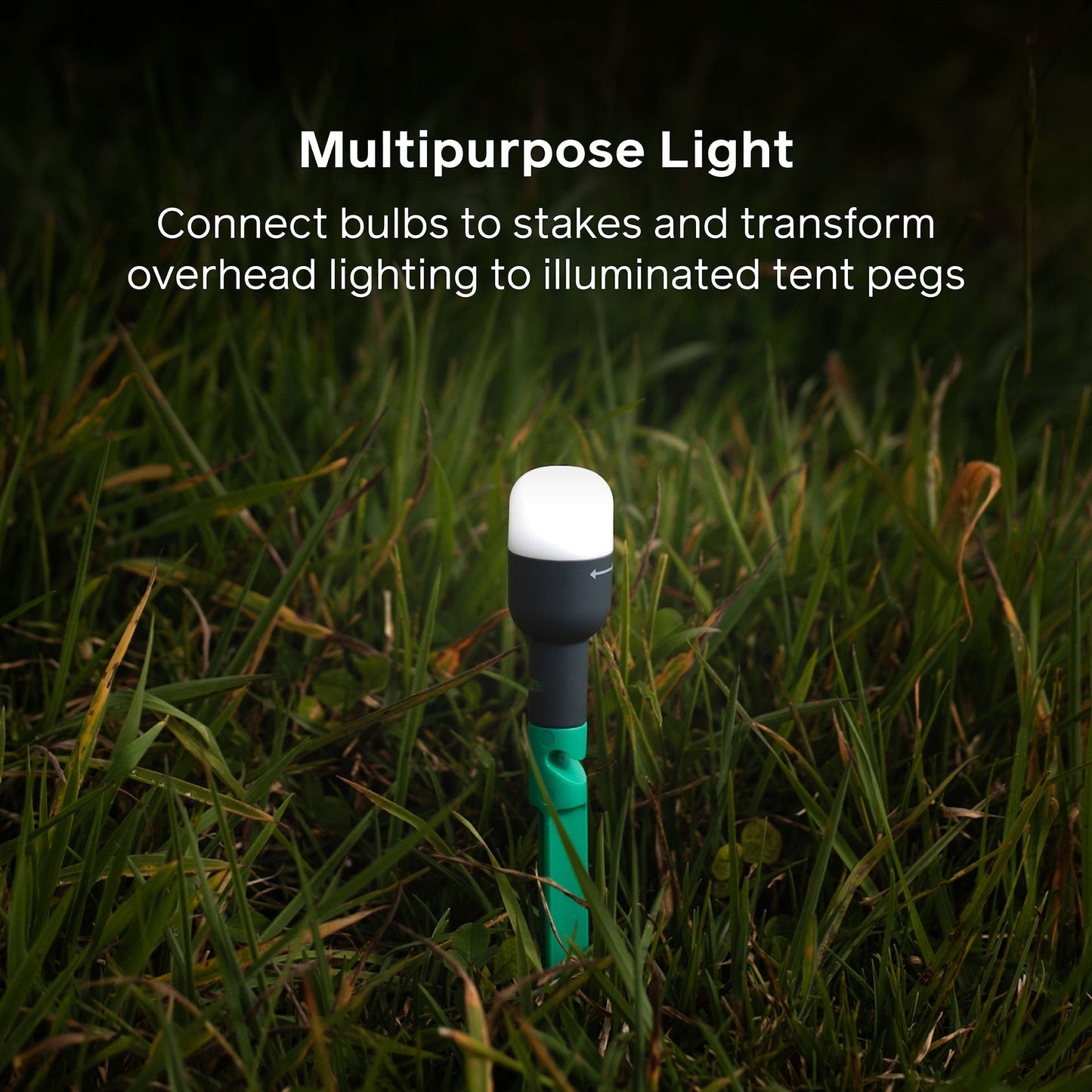 Site Lights