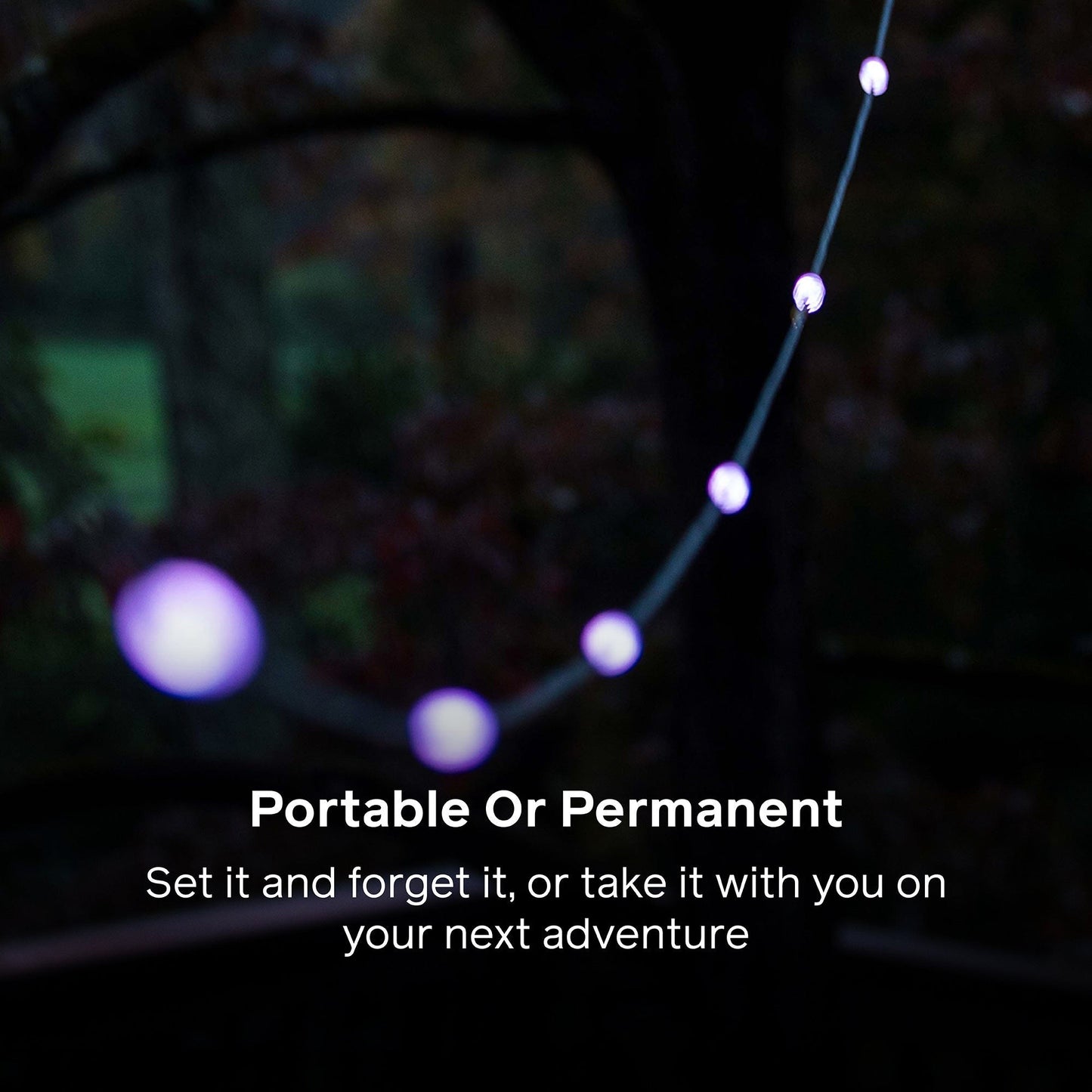 Solar String Lights: 44' Color