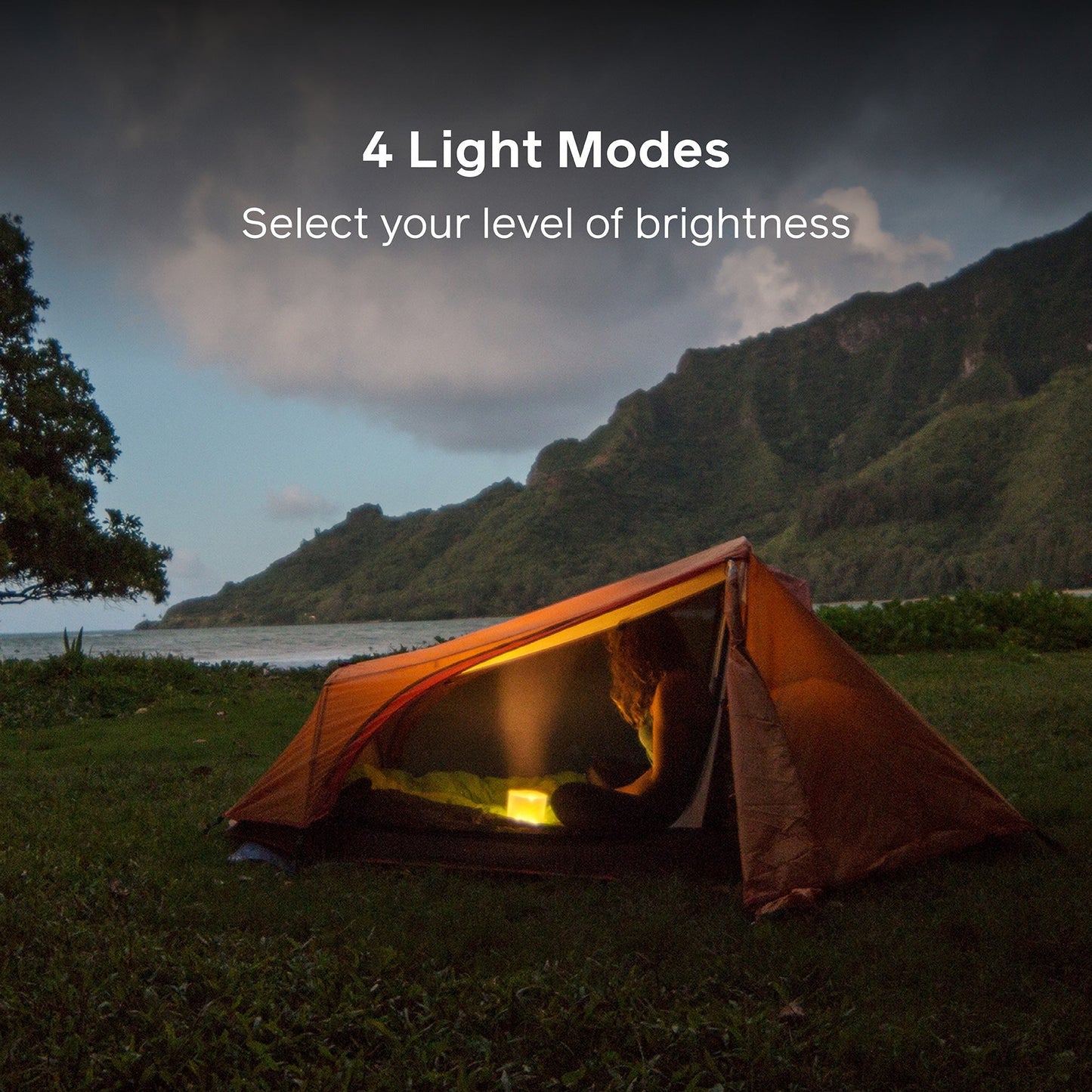 Luci Original Matte